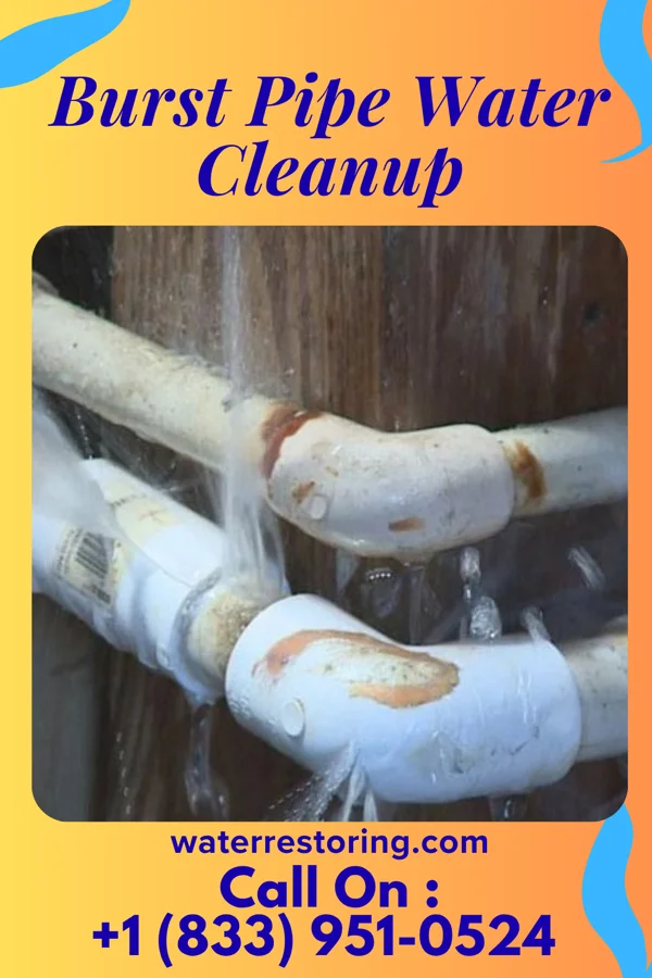 Burst Pipe Water Cleanup in Conger, MN