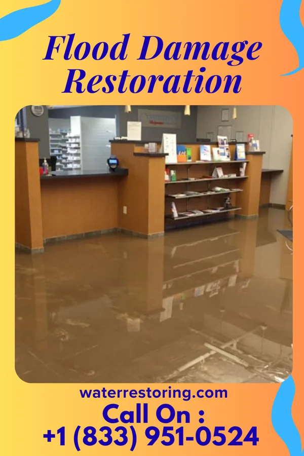 Flood Damage Restoration in Conger, MN